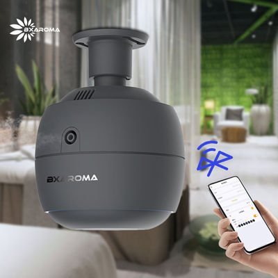 Harga yang pantas 250ml Air Diffuser Minyak Atsiri Sterilisasi Aroma Diffuser Komersial on line
