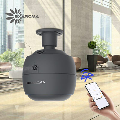 Harga yang pantas Komersial Usb Aroma Diffuser Nebulizer Listrik Disesuaikan Populer on line