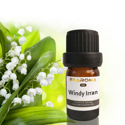 Harga yang pantas Ilan Aroma Diffuser Essential Oil Pengharum Ruangan Mobil Berkelanjutan 500ml on line